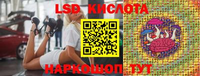 spice Кулебаки