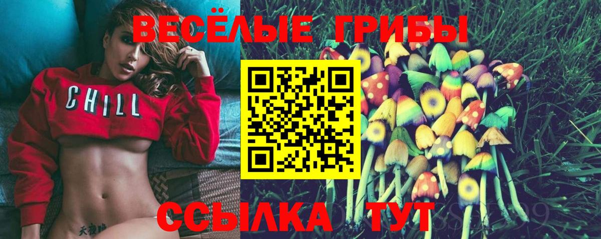 Галлюциногенные грибы Psilocybine cubensis  Псилоцибиновые грибы Magic Shrooms  Вход с VPN  Зеленокумск 